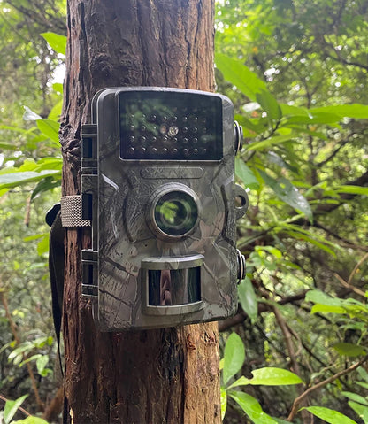 RR TRAIL CAMERA™